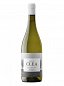 Clea Verdejo - DO Rueda